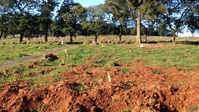 අවයව ලබාගැනීමට කැනීම් කල සොහොන් පිටියක්