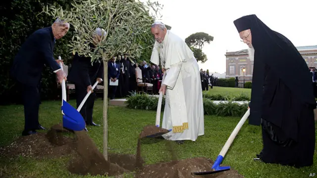 Участники встречи посадили в саду Ватикана оливковое дерево как символ мира