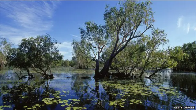 Parque Nacional Kakadu