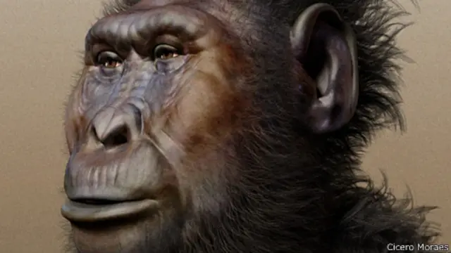 Reconstrucción del rostro de un Paranthropus boisei 