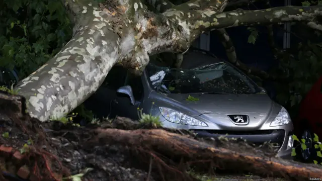 Машина под поваленным деревом