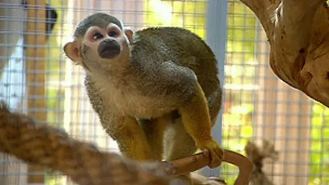 Cutar Ebola ta bulla a Najeriya a watan Yuli bayan dan Liberiya mai dauke da cutar ya je Najeriyar