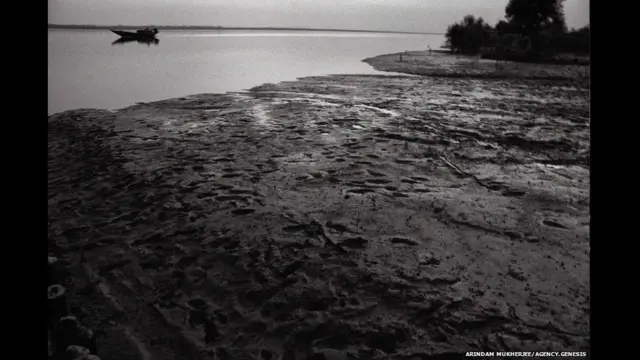 सुंदर वन