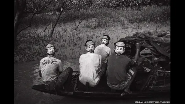 सुंदर वन