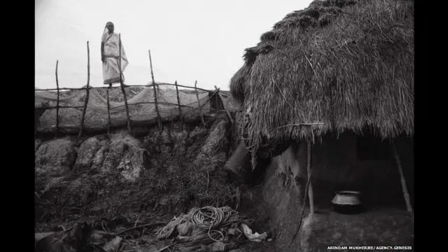 सुंदर वन