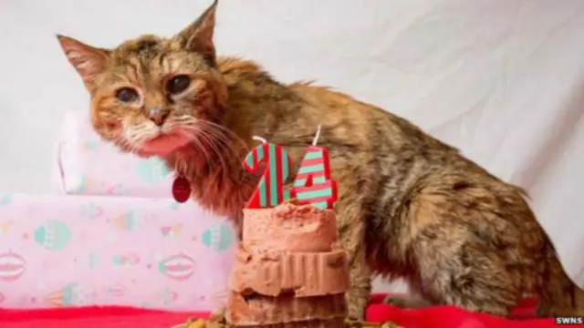 پوپی کی عمر 24 برس تھی اور وہ بہت بیمار تھی