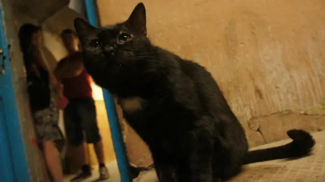 Фото: Алина Циопа