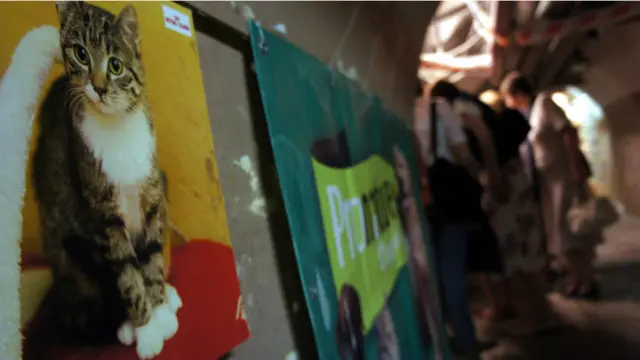 Фото: Алина Циопа