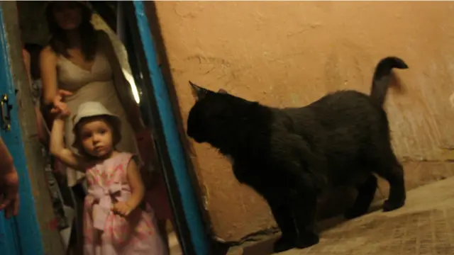 Фото: Алина Циопа