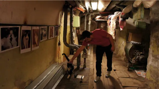 Фото: Алина Циопа