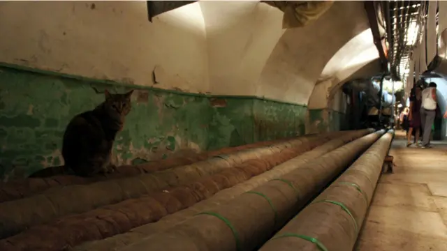 Фото: Алина Циопа