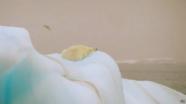 Баренцево море