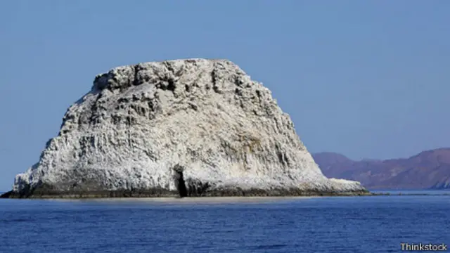 Isla de guano