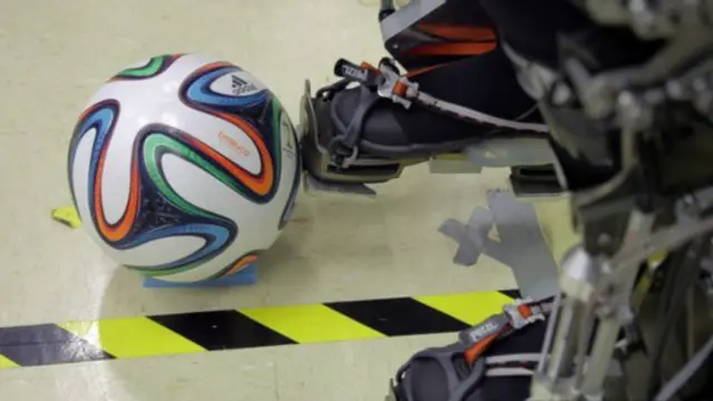 екзоскелет