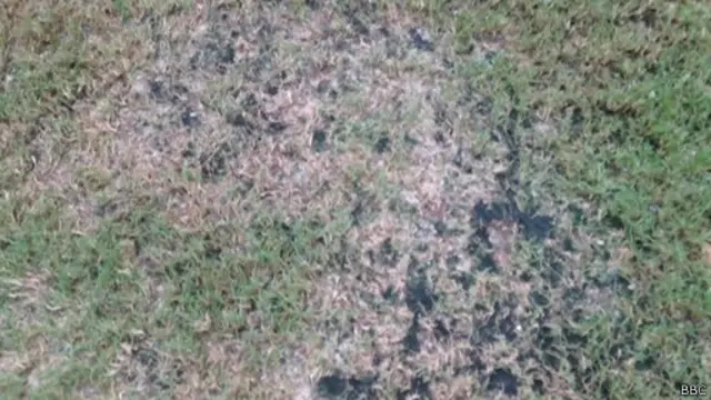 Stadion Manaus terletak di gerbang masuk ke area Amazon.