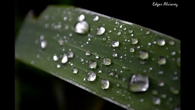 Foto de un lector de BBC Mundo por el tema “agua”