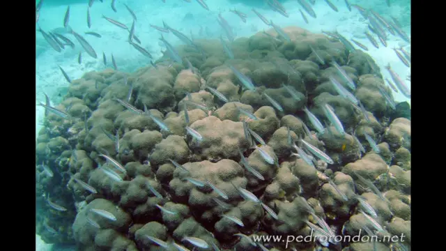 Foto de un lector de BBC Mundo por el tema “agua”