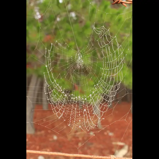 Foto de un lector de BBC Mundo por el tema “agua”