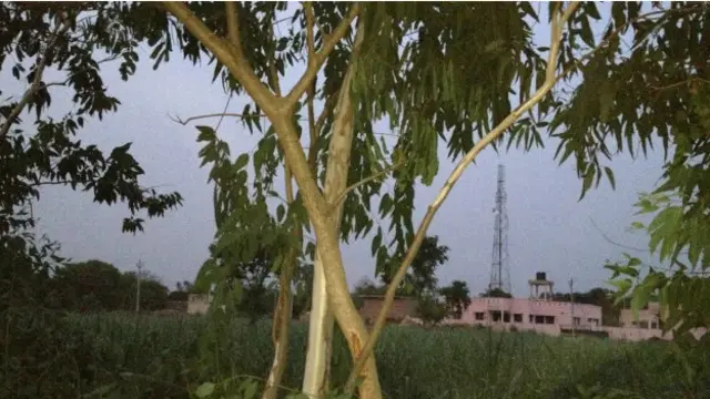 ایک شخص نے بتایا لڑکی اور دلت سماج کے ایک لڑکے کے درمیان تعلقات تھے اور لڑکی کے خاندان والوں کو یہ بات پسند نہیں تھی