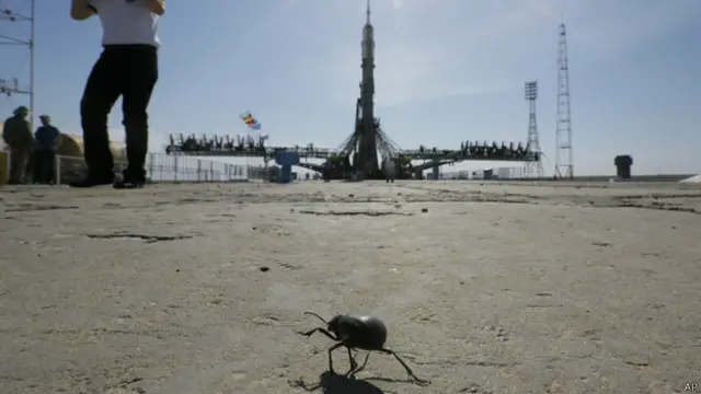 Жук на Байконуре