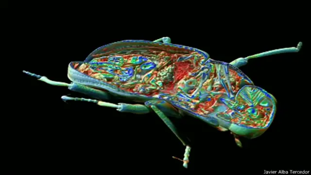 फ़ाइल फोटो