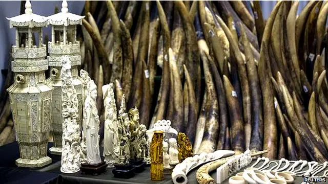 ہاتھی دانت کے بنے سامان بین الاقوامی بازورں میں بہت مقبول ہیں