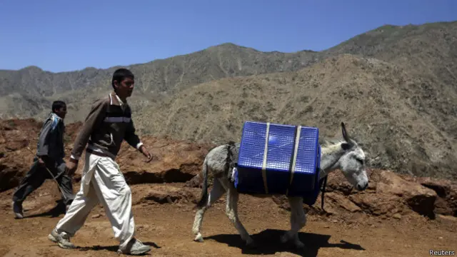 Выборы в Афганистане