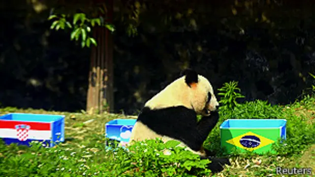 چین میں ان پینڈا کی جانب سے پیش گوئیوں کا سوشل میڈیا پر بے تابی سے انتظار ہو رہا تھا