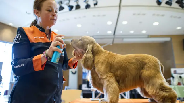 इस कॉम्पिटीशन में पांच देशों के 32 लोगों ने 52 कुत्तों के साथ हिस्सा लिया. 