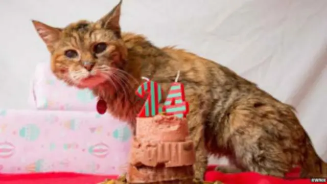 پاپي د ۱۹۹۰ کال په فروري میاشت کې زیږېدلې وه