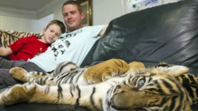 عاش النمران في منزل كلارك بمدينة بريزبن الاسترالية