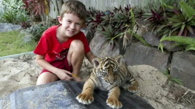 حزن كينان كثيرا بعد فراق النمرين المنزل