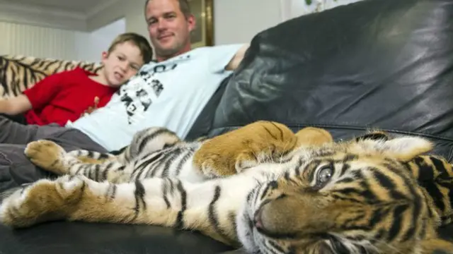 ऑस्ट्रेलिया चिड़ियाघर के दो शावक घर में