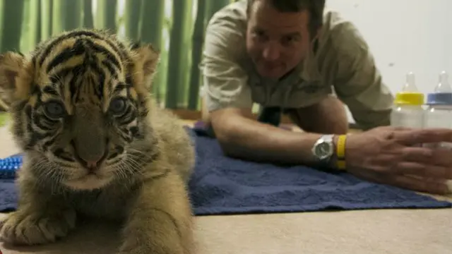 ऑस्ट्रेलिया चिड़ियाघर के दो शावक घर में