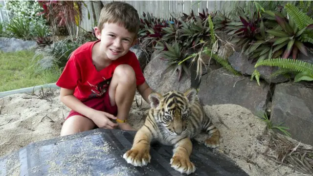 ऑस्ट्रेलिया चिड़ियाघर के दो शावक घर में