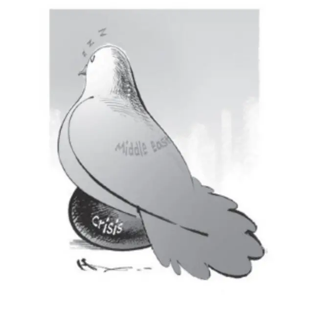 کارتون حسن کریم زاده، شهروند