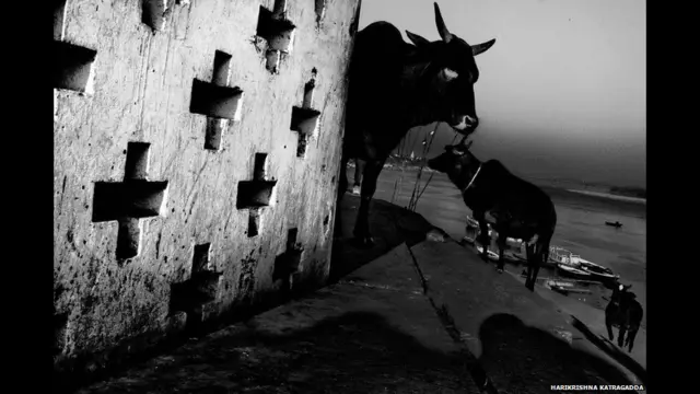 वाराणसी, धार्मिक शहर, भारत, हरिकृष्ण कात्रगड्डा