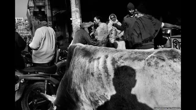 वाराणसी, धार्मिक शहर, भारत, हरिकृष्ण कात्रगड्डा