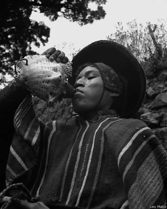 Músico toca el pututo, Leo Matiz