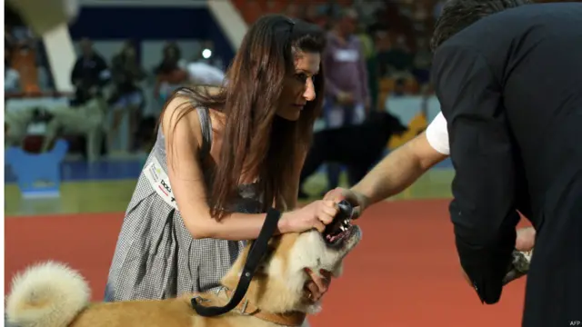 अल्बानिया का पहला डॉग शो