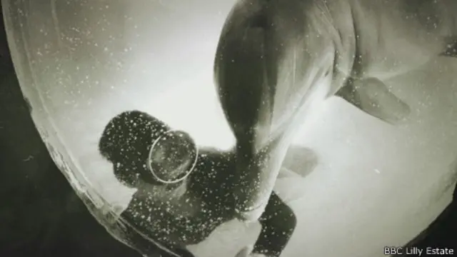 Imagen del laboratorio la Casa del delfín