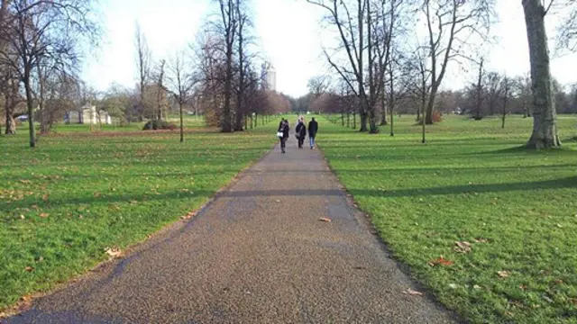 不言語的恬靜，踏著過往的腳步而來，驚艷了歲月！