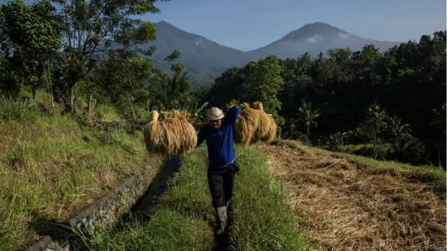 Petani bersiap musim kering