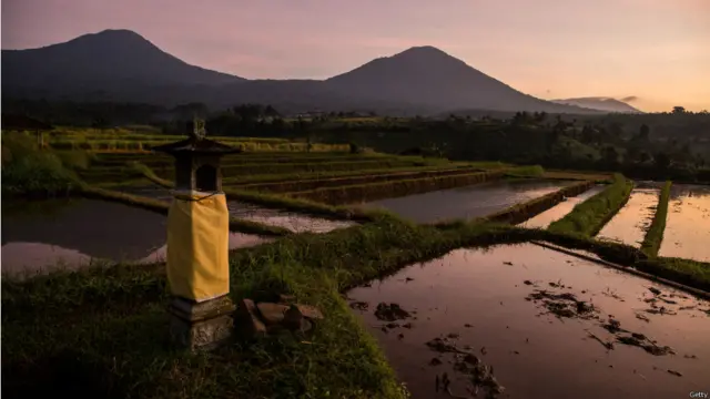Petani bersiap musim kering
