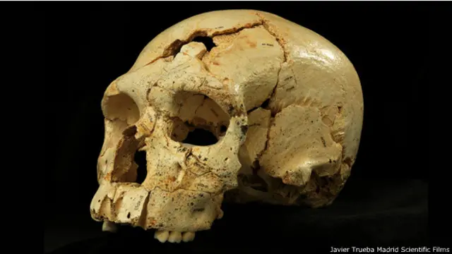 Cráneo de la Sima de los Huesos