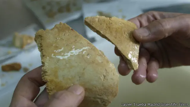 Los expertos reconstruyeron 17 cráneos, algunos casi completos.