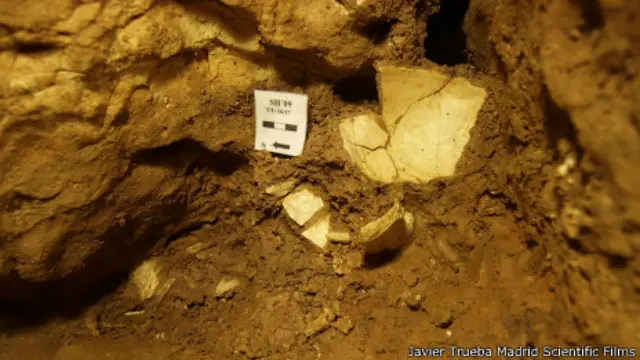 Fósiles en la Sima de los Huesos