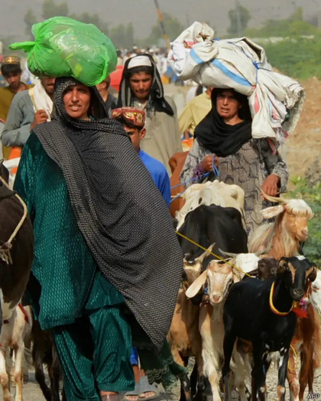 میرعلی اور میران شاہ کے علاقوں میں گاڑیاں کی عدم دستیابی کے باعث لوگ پیدل بنوں اور آس پاس کے علاقوں کی طرف جارہے ہیں جن میں خواتین اور بچے بھی شامل ہیں۔