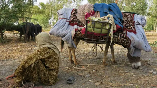 संकट क्षेत्र से निकलने के लिए किसी के पास वाहन की सुविधा है तो कोई अपने जानवरों पर ही सामान रखकर बस किसी तरह निकल जाना चाहता है.