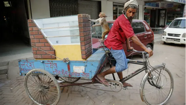 बंदर के साथ राजेंद्र शुक्ला